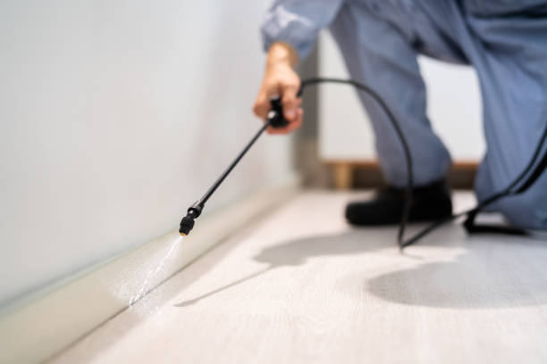 Bed Bug Pre-Treatment Preparation Assessment in Lake City