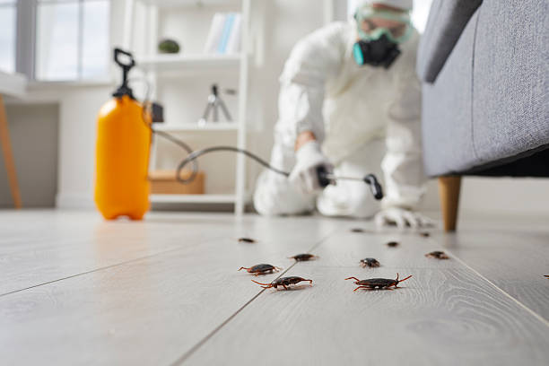 Post-Treatment Bed Bug Interceptor Monitoring in Lake City