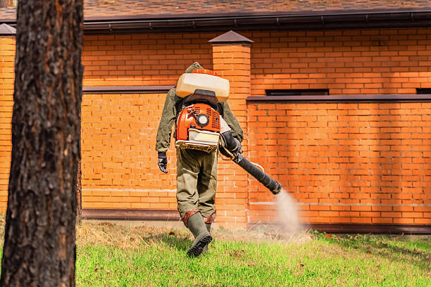 Bed Bug Clearance Verification and Documentation in Lake City